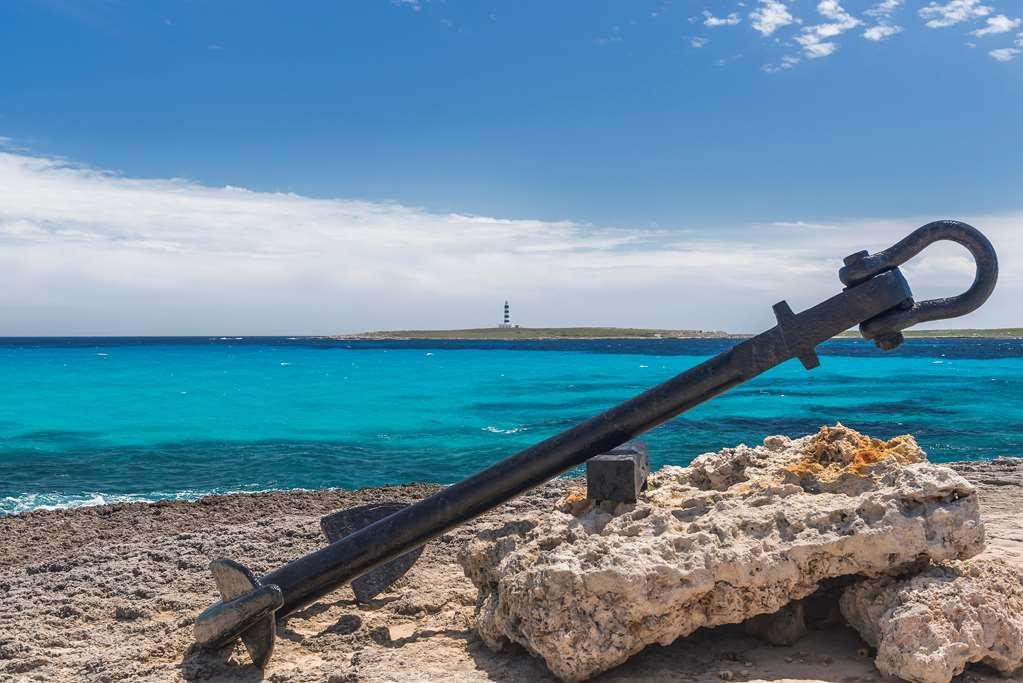 Occidental Menorca (Adults Only) Hotel Punta Prima  Nature photo
